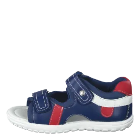 423-5024 Royal Blue