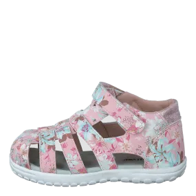 437-6171 Pink
