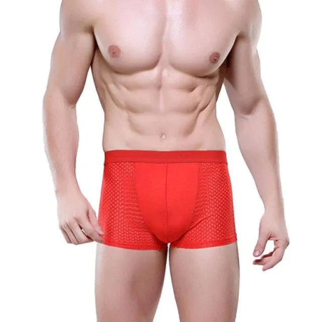 JECKSION Super Deal 2016 Fashion Underwear Men Shorts Mens Trainers Mesh Boxer Breathable Underpants