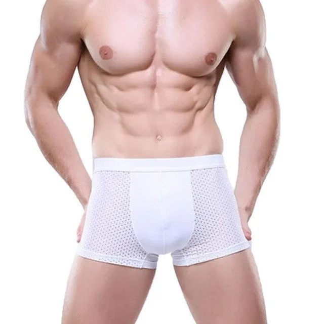 JECKSION Super Deal 2016 Fashion Underwear Men Shorts Mens Trainers Mesh Boxer Breathable Underpants