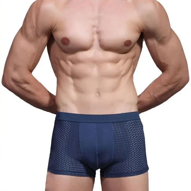 JECKSION Super Deal 2016 Sexy Underwear Bamboo Fiber Shorts Mens Trainers Mesh Boxer Breathable Underpants #LN