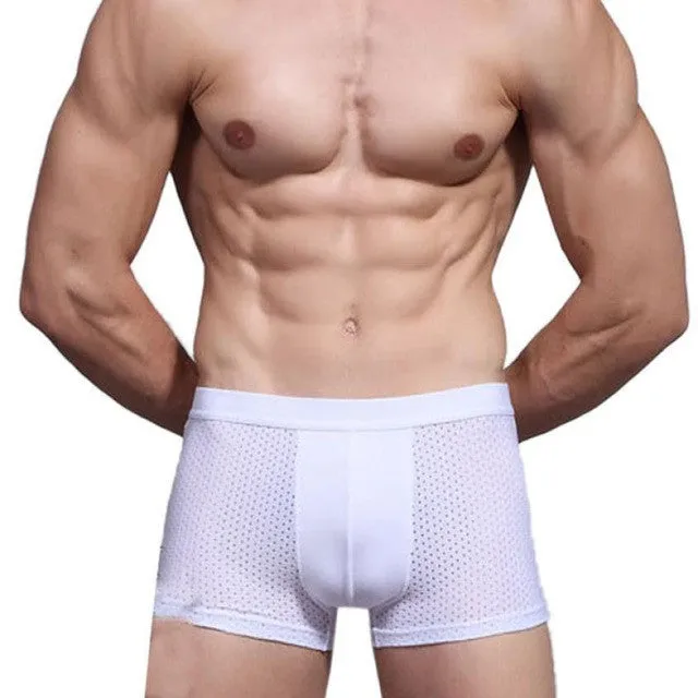 JECKSION Super Deal 2016 Sexy Underwear Bamboo Fiber Shorts Mens Trainers Mesh Boxer Breathable Underpants #LN