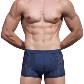 JECKSION Super Deal 2016 Sexy Underwear Bamboo Fiber Shorts Mens Trainers Mesh Boxer Breathable Underpants #LN
